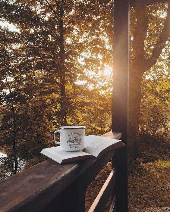 ZakirSahito1's tweet photo. Good morning everyone!
Starting the day with new hopes, gentle sunlight, and a refreshing breeze… a perfect beginning to a beautiful morning. 🌅✨
#GoodMorning #BeautifulStart #MorningVibes https://t.co/aujhzT4GmB