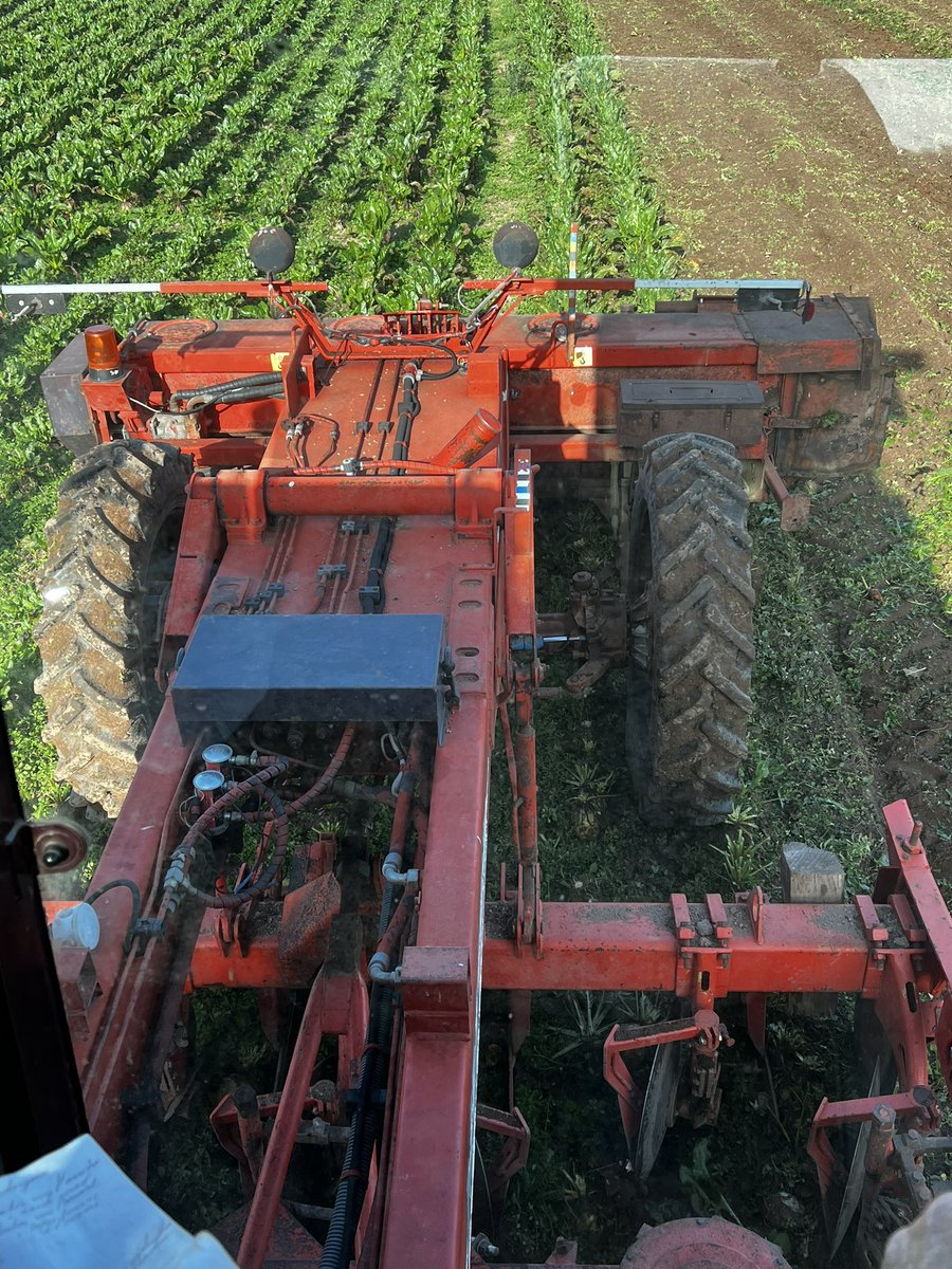 Ah la betterave fourragère !!!! 

Une plante formidable, que j’affectionne particulièrement.

La conseiller, c’est l’apprivoiser.
La redécouvrir, c’est revivre.
La séduire, c’est la conquérir.
L’essayer, c’est l’adopter.
La cultiver, c’est rêver.
La distribuer, c’est gagner !
