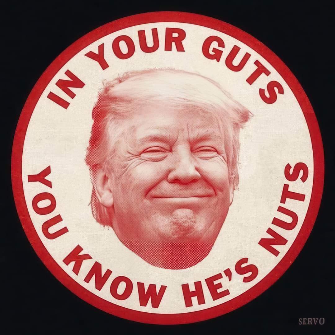 dool50's tweet image. America, you disgust me that you actually elected this P.O.S. 
Criminal, rapist, racist, and just a horrible human. 
America is not great. You won't hear Harris complain that "the election is rigged, unless I win". 
You get what you deserve coming to you.