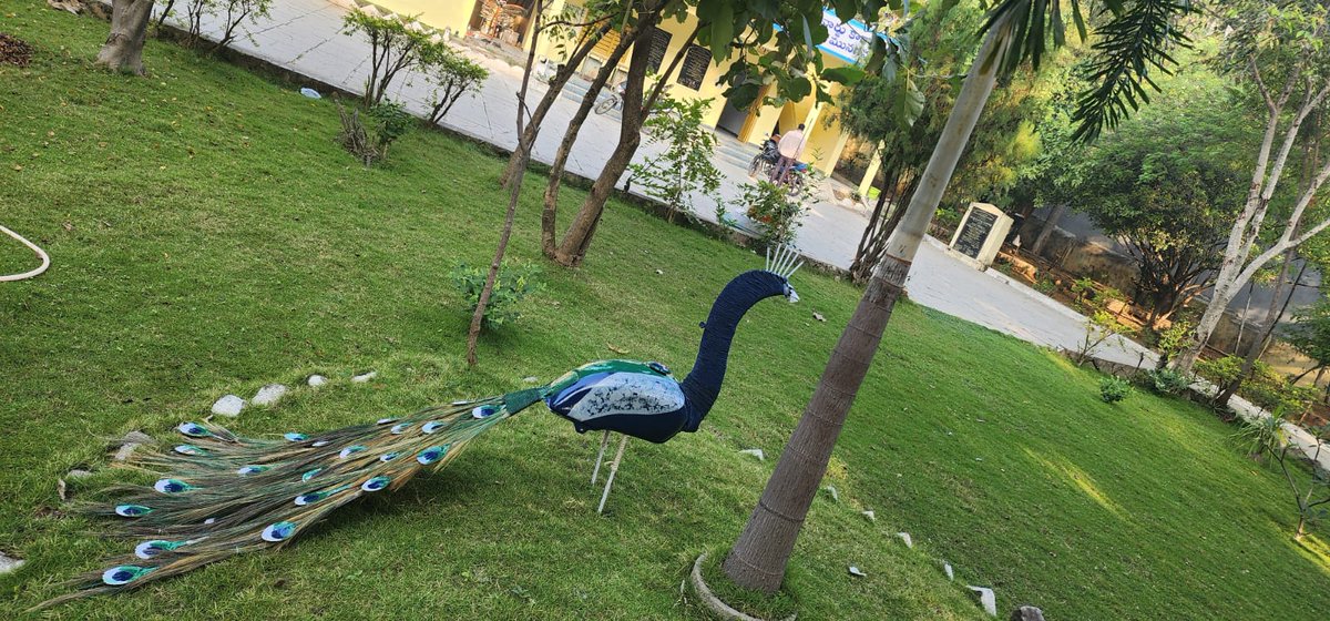SwachhBharatGov's tweet photo. From scrap to spectacular! 
 
SafaiMitras in Turkayamjal, Telangana showcase an inspiring example of turning waste into art by creating a beautiful peacock sculpture from an old bike oil tank, iron rods, spoons, and other scrap materials! 🦚♻️ 
#WasteToArt #SwachhBharat https://t.co/lmwGCukU4K