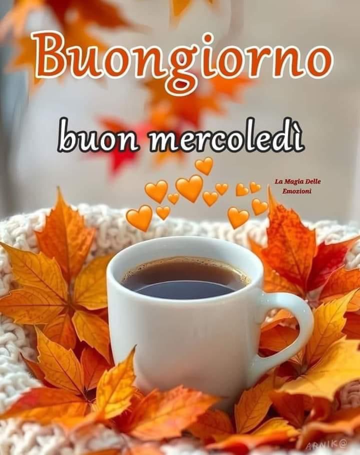 RITABIANCHi56 tweet media