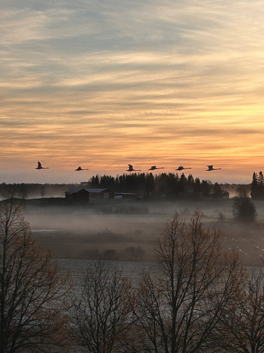 Työhuoneen näkymä tänä aamuna.
