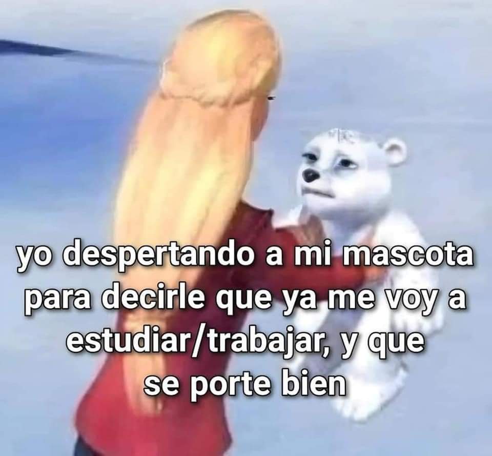 En Júpiter (@en_jupiter_) on Twitter photo 