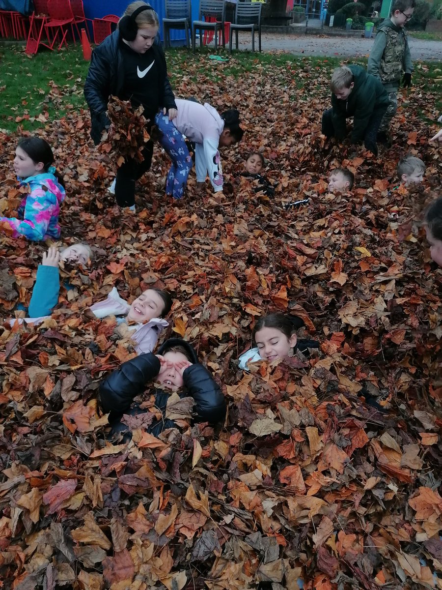 Llanishen Fach tweet media