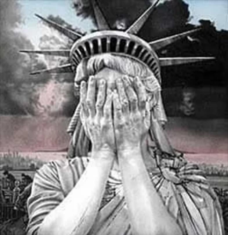Ieu61's tweet image. America - You disgust me #USAElection2024