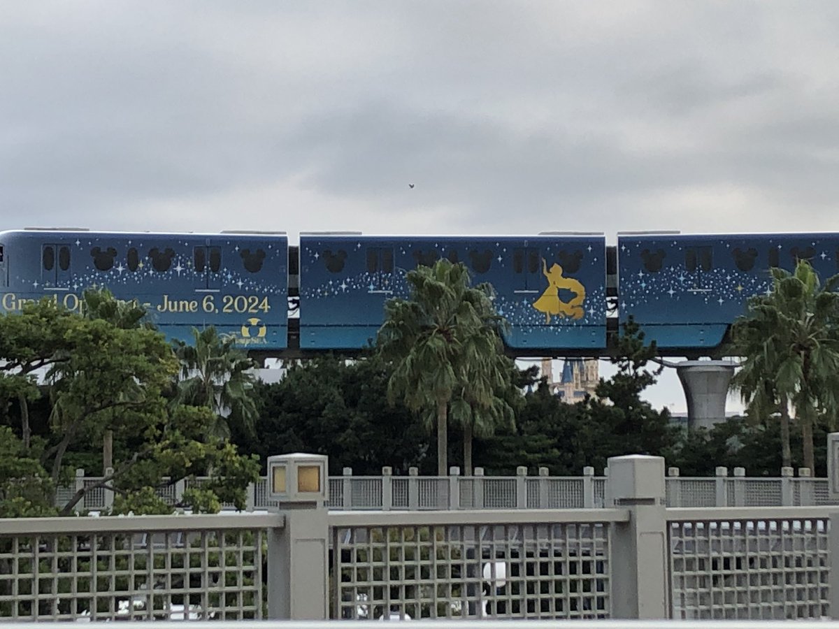 perfecter_d's tweet photo. フレンジーの見納め完了🥰
天気よありがとう🙏

ハモカラ　フレンジー見れたし
ショーは全て外れたし人多すぎて疲れたんで帰ります^_^
来年早くフレンジー観たいけど1年後か、、、、
またおっさんになってる、、、(^◇^;) https://t.co/guZtoHMH3S