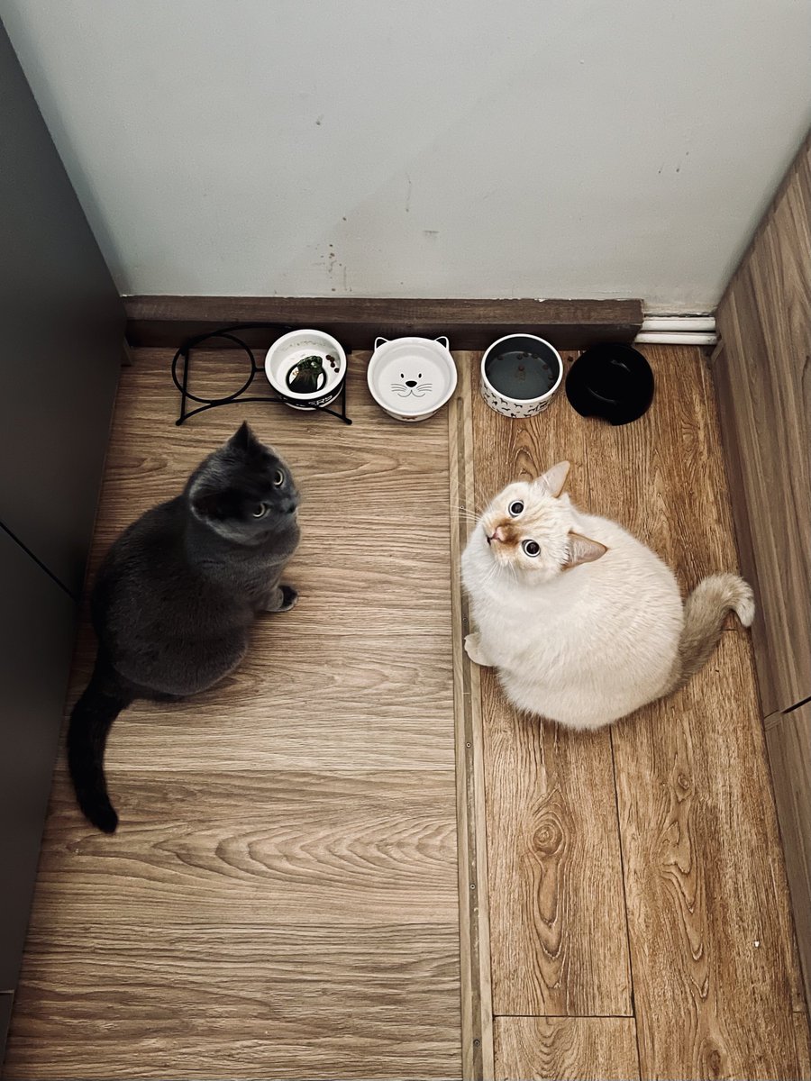 CooleEule's tweet photo. Утро начинается не с кофе https://t.co/m6ZjWwBeAb