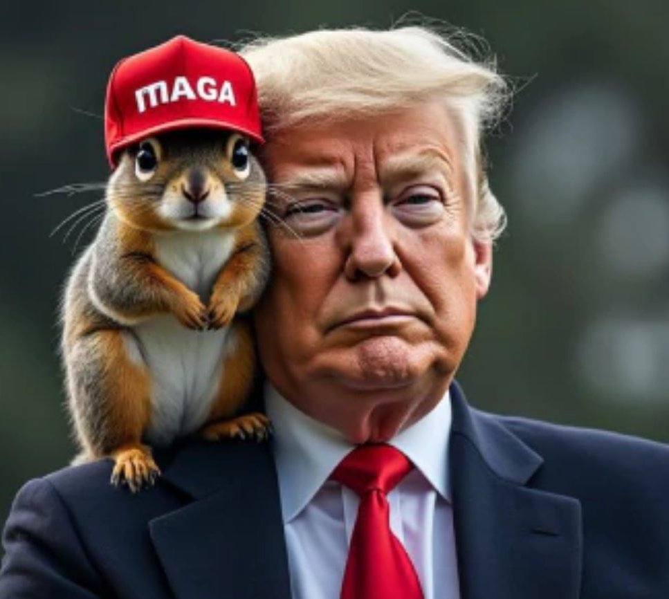 Liberfach0's tweet photo. Aceptenlo Beyoncé, Taylor Swift, Jennifer López, Bad Bunny, Mark Ruffalo, Robert downey Jr, Oprah, Robert de Niro, Jennifer Aniston, Cardi B, Madonna, y otros wokes hdp, la ardilla Penaut fue más influyente que todos ustedes en estas elecciones 🇺🇸 https://t.co/AmqW2bpBwP