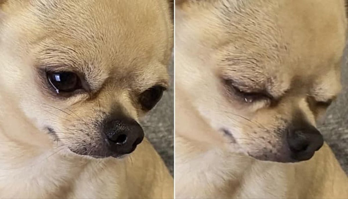 이제 $ETH 가 오를 수 있는 것은••• 트황이 게리겐슬러 내쫓고 + 스테이킹 되는 이더리움 현물 ETF 출시 + 금리 인하 들어가서  온세상의 모든 money 이더리움 현물 ETF로 들어오는 것.... 😭 쓸모가 없다면