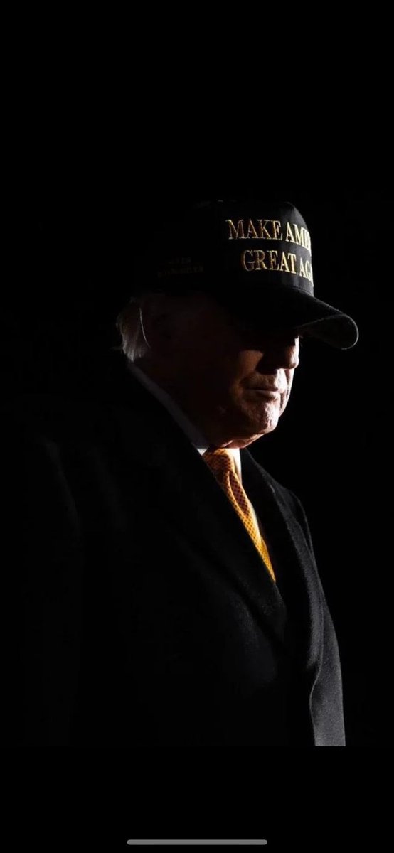 Veizuh5.0 tweet media