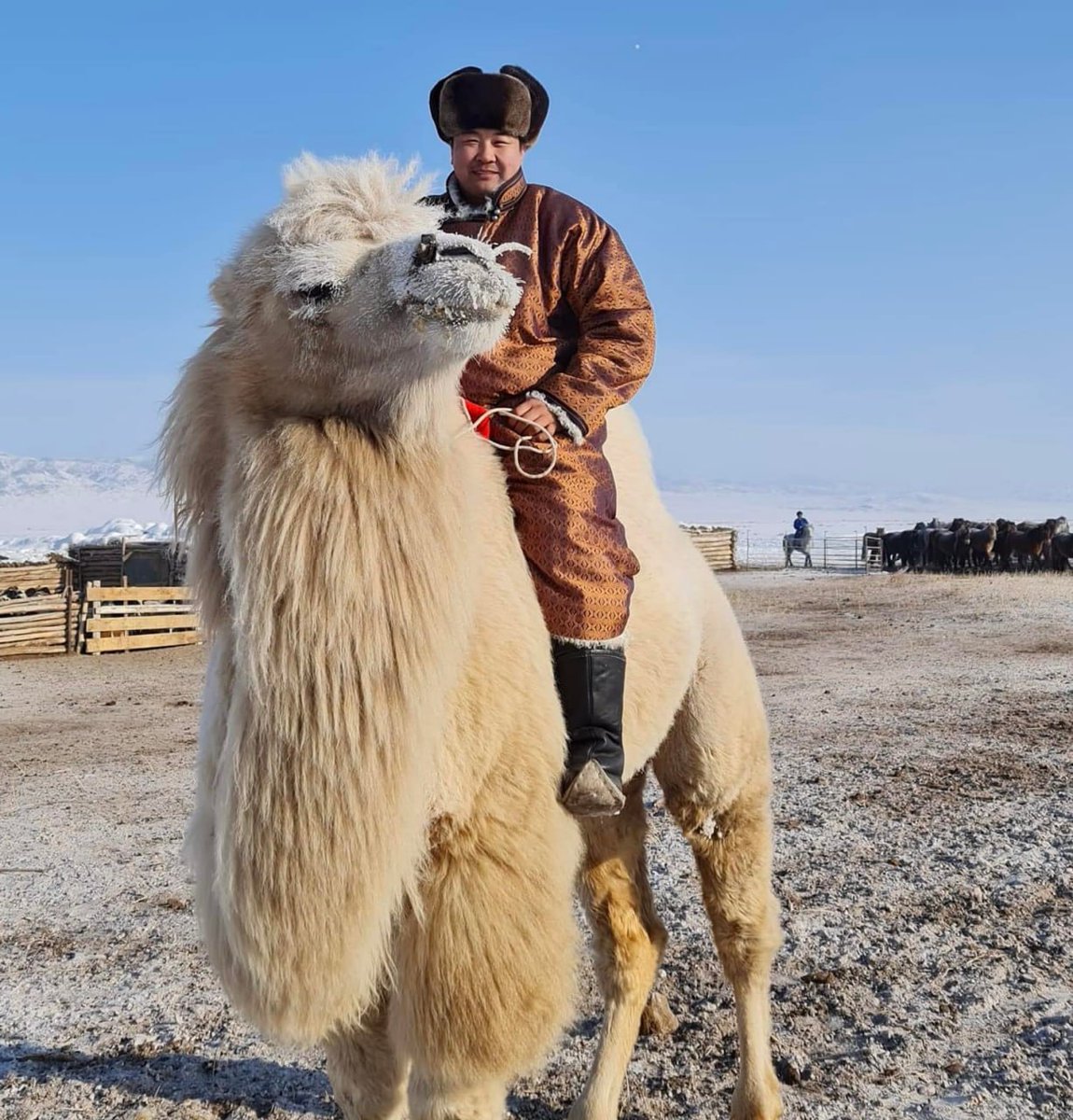 Өдрийн мэндээ.
Өнөөдөр дагасан бүх хүмүүсээ дагаад явна.