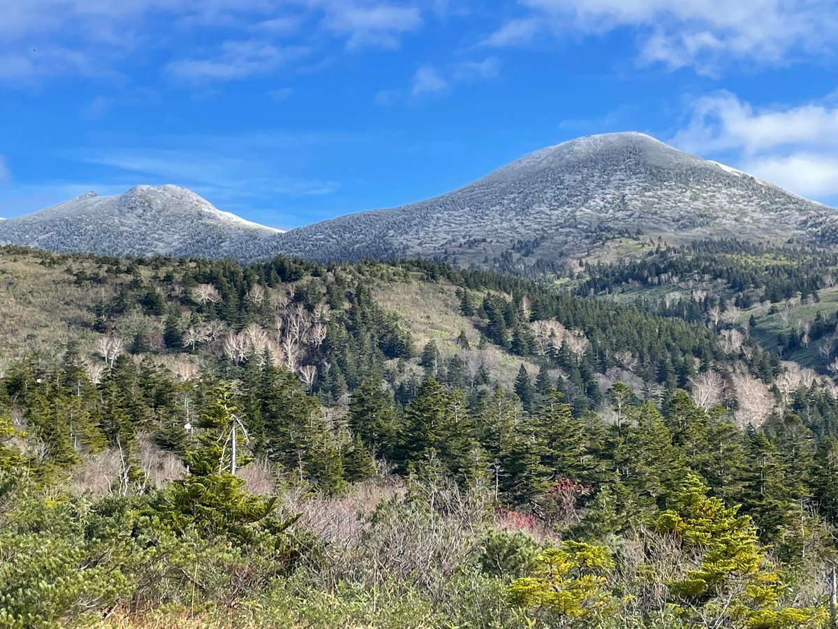 24nmt's tweet photo. 下毛無の入り口まで行き、山頂付近の雪を見て下山 https://t.co/B6MLw9ccrt