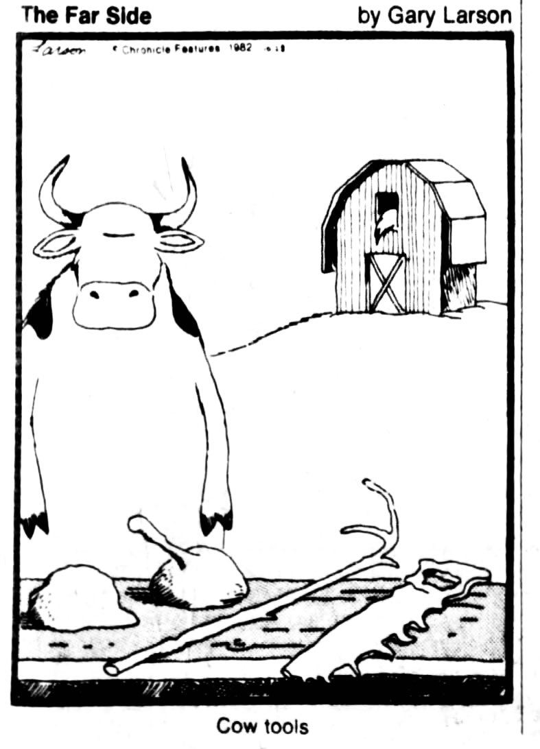 FROM THE FAR SIDE FILES 
Gary Larson 1982