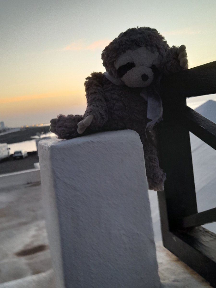 Slothman1therejoinMarch tweet media