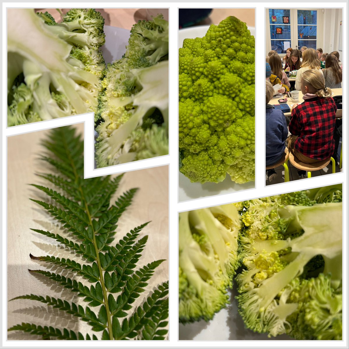 jenseisert's tweet image. Item one for today’s contributions to the #BerlinScienceWeek: A course on fractals for elementary school kids.