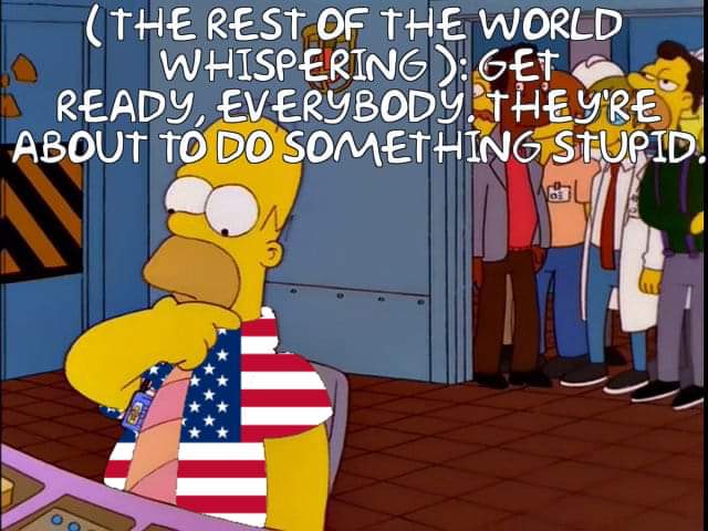 2IC Moss Collector tweet media