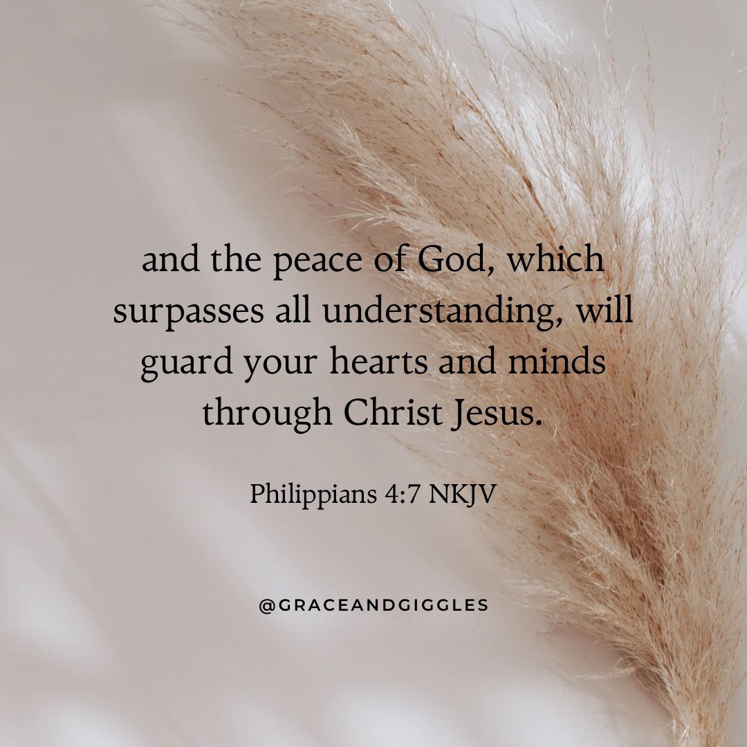 GraceAndGiggles's tweet photo. #GodsPeace #Philippians4 #PeaceInChaos #CalmHeart #FaithOverFear #GraceAndGiggles https://t.co/7IpOpdDdt2