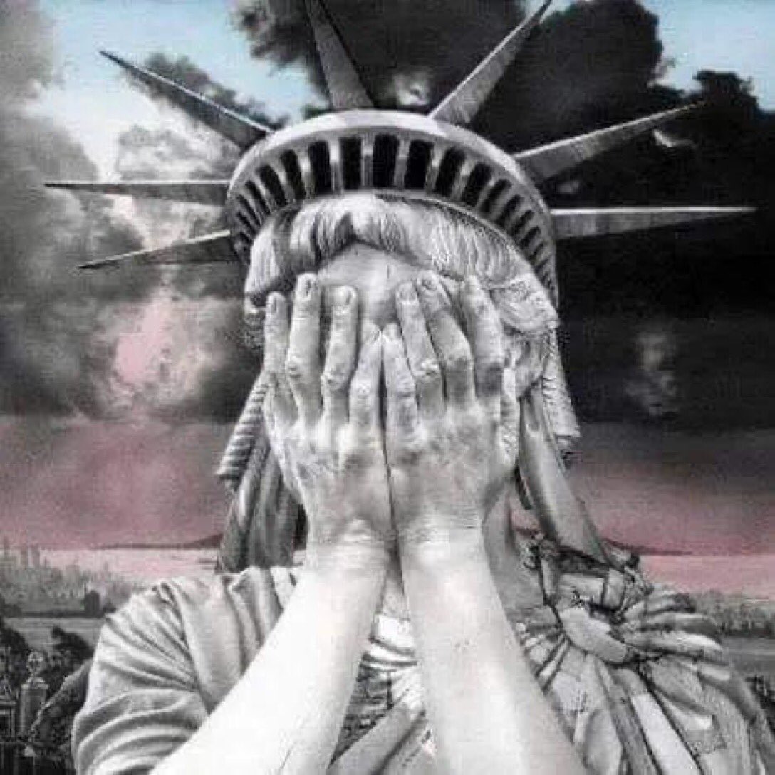 Reakcije normalnog sveta na pobedu Donalda Trampa.