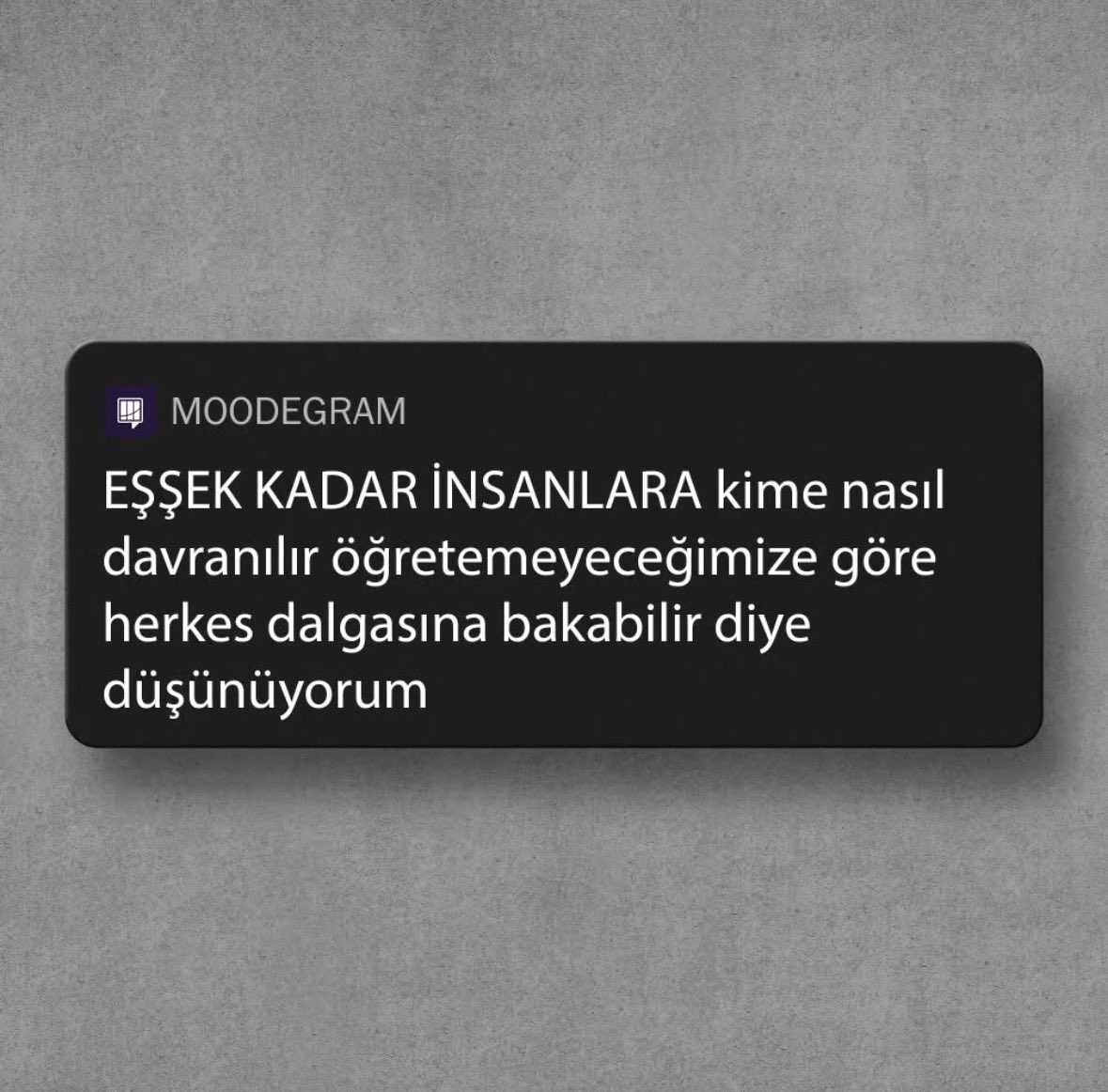 Emre Efe (@_emreefe_) on Twitter photo 