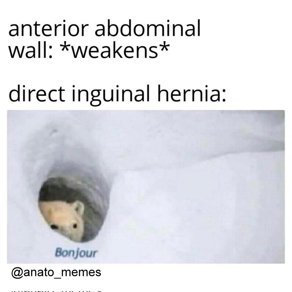 Lokesh Coomar (@lokesh_coomar) on Twitter photo The med students <a href="/SLU_Anatomy/">Center for Anatomical Science and Education at SLU</a> are starting their abdominal block in lab today.
#anatomy #MedTwitter #anatomical #anatomymemes #MedEd The med students <a href="/SLU_Anatomy/">Center for Anatomical Science and Education at SLU</a> are starting their abdominal block in lab today.
#anatomy #MedTwitter #anatomical #anatomymemes #MedEd
