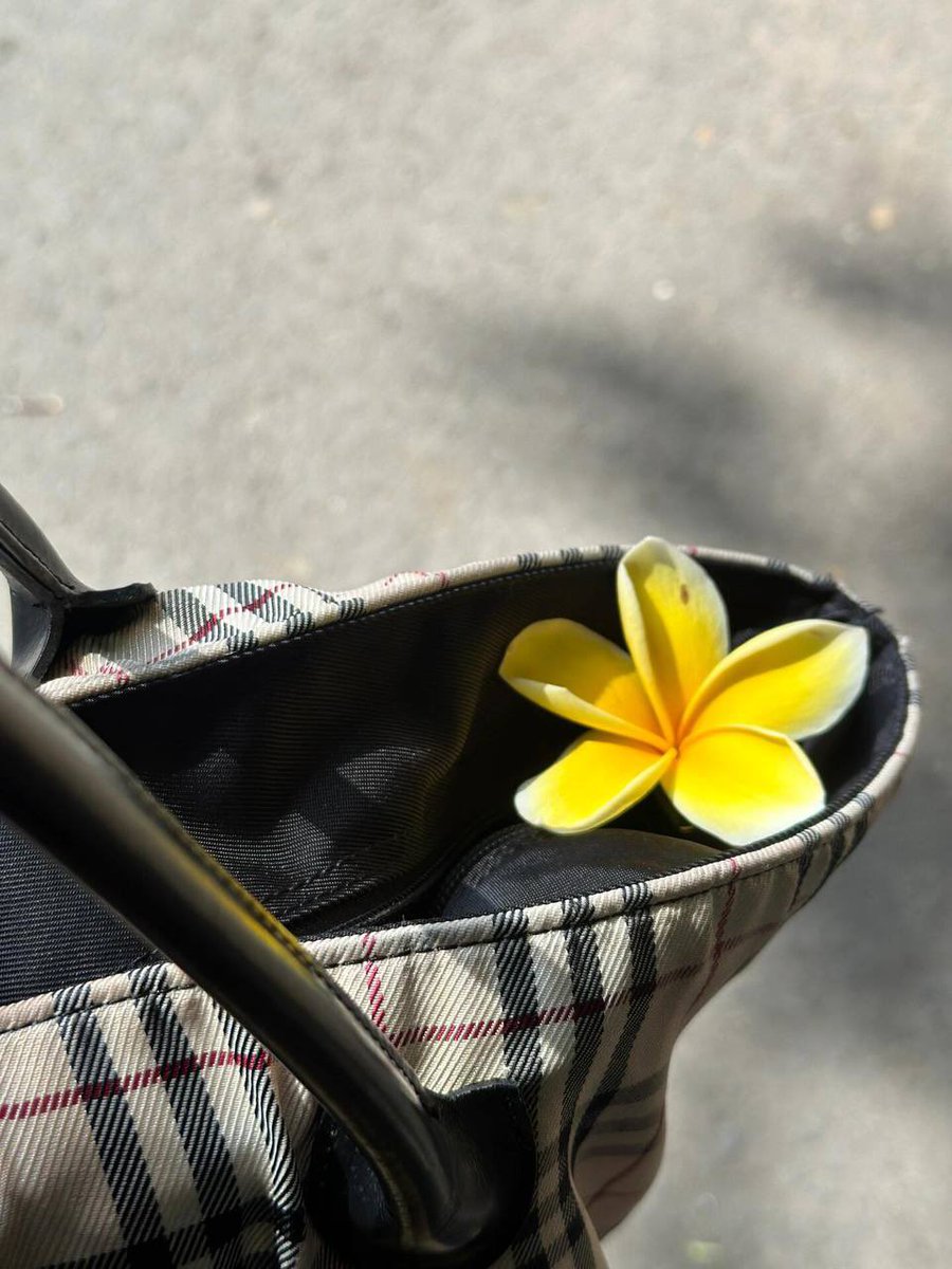 其实一朵小黄花，就是最好的点缀…

艳而不俗，媚而不妖，正是姨想给大家看的～ https://t.co/9K3k5f0Wpn
