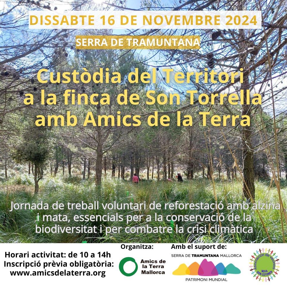 🌿💚 Uneix-te a la Jornada de #CustòdiadelTerritori amb Amics de la Terra!
Dissabte 16/11, t’esperam a Son Torrella (Puig Major) per plantar alzines i protegir la biodiversitat de la Serra de Tramuntana. 🌱🌍
📅 16 de nov. 🕘 Sortida Palma 09:00 h🔗 Inscripcions  a la nostra web
