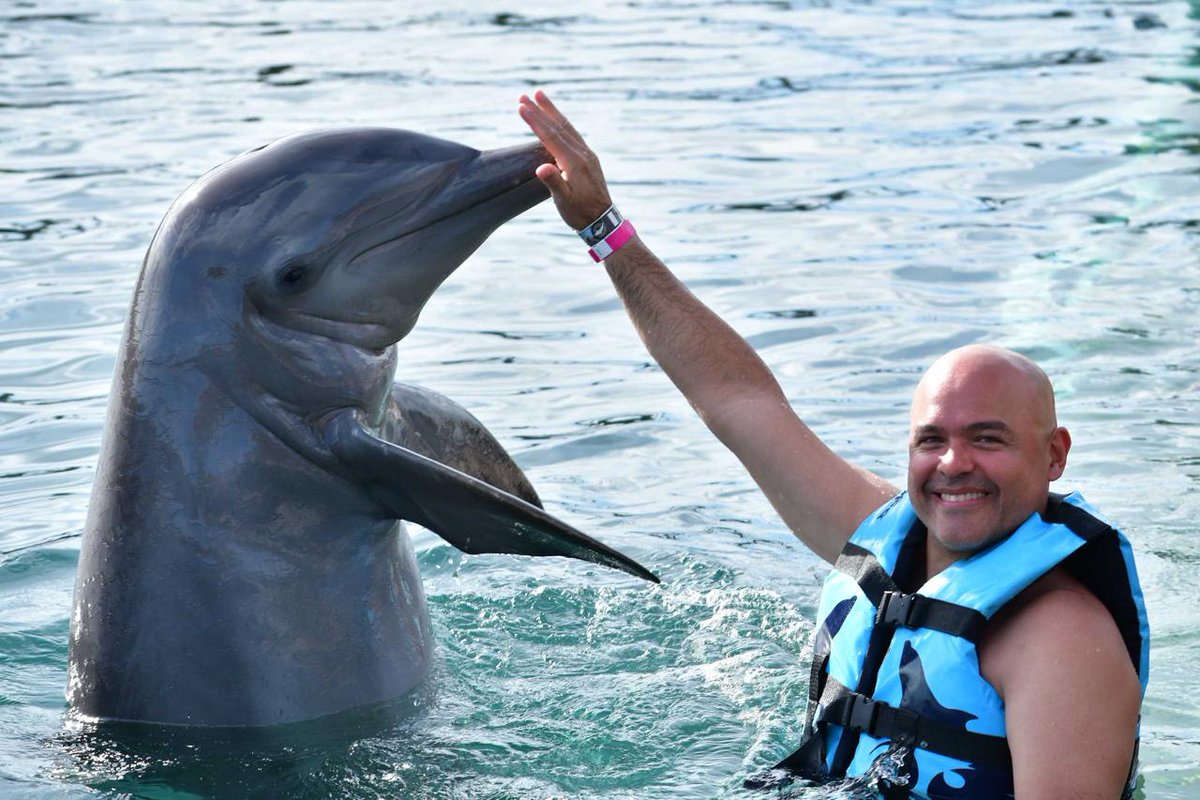 Dolphin Discovery @Stkitts&amp;Nevis