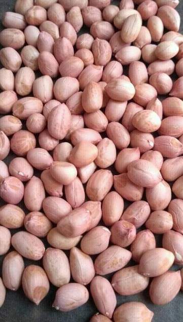 chiwendu856's tweet photo. Dear X users, I’m asking for 2 seconds of your time today to help RETWEET🙏
   
Rice Done and dusted 🙌
Thank you for trusting me 🙏

Groundnut export standards deliver nationwide
1.660m per ton..

08104410912

(Congratulations To Trump, Barack Obama, putin, Cardi B, LGBTQ) https://t.co/0sMS29T4g5