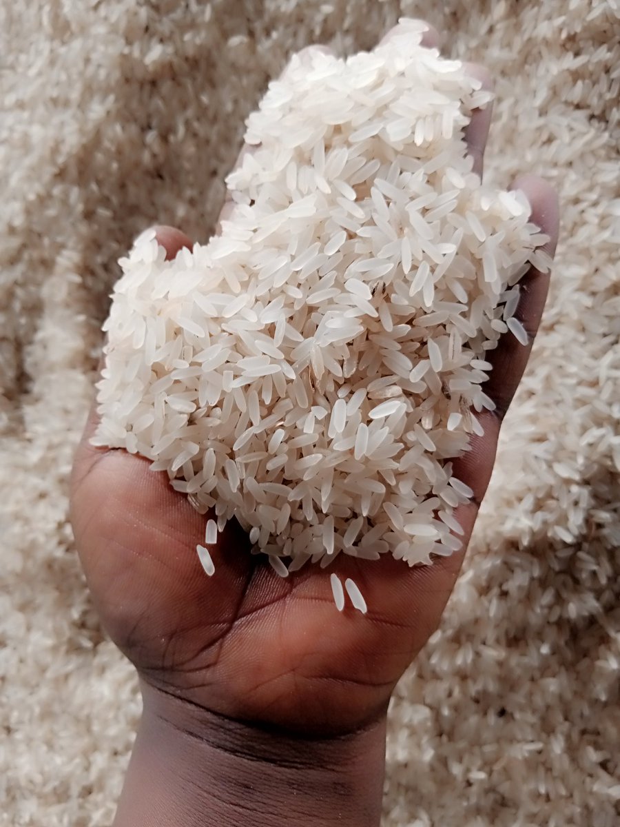 chiwendu856's tweet photo. Dear X users, I’m asking for 2 seconds of your time today to help RETWEET🙏
   
Rice Done and dusted 🙌
Thank you for trusting me 🙏

Groundnut export standards deliver nationwide
1.660m per ton..

08104410912

(Congratulations To Trump, Barack Obama, putin, Cardi B, LGBTQ) https://t.co/0sMS29T4g5