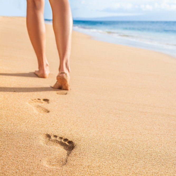 Flanders Marine Institute - VLIZ tweet media