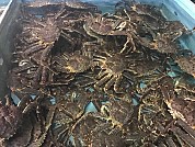 #美食無間
#2話

タラバガニを食べた市場の名前は、新方水產有限公司。ここは最寄りの駅から遠いので、タクシーかユーバイクを使っていくのがよいかも

新北市五股區成泰路一段194-1號A棟
