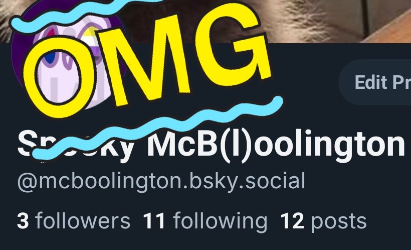 Spooki McBoolington 👻🦝🏴‍☠️🏳️‍🌈 tweet media
