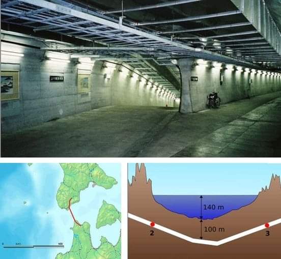 Muhammad Abid Nazir tweet media