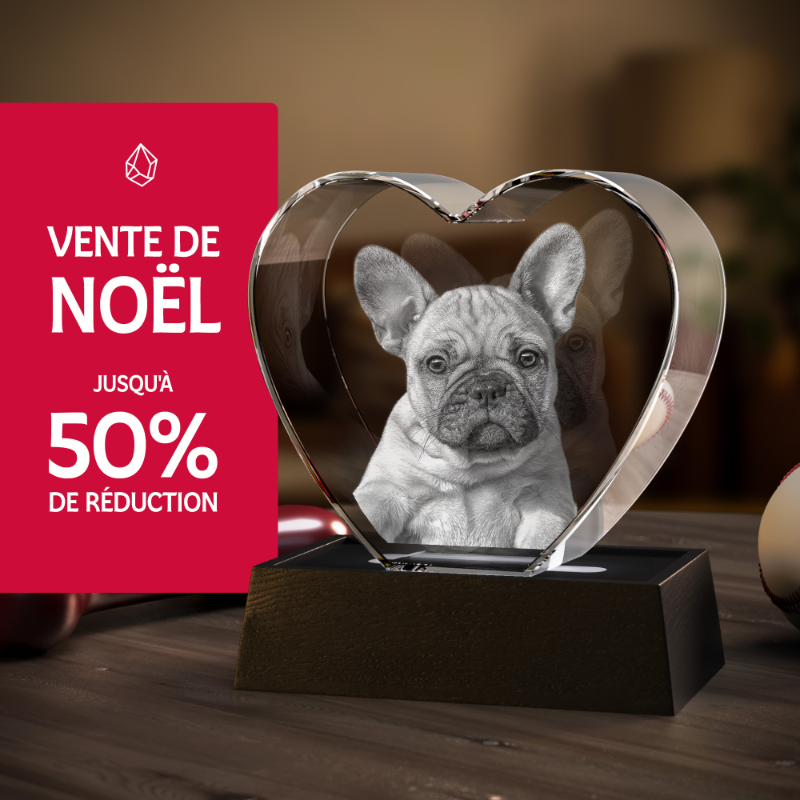 Masterpics_FR's tweet photo. Vous cherchez le cadeau de Noël parfait ? 💖
Transformez vos photos préférées en un magnifique cristal 3D.
Livraison garantie pour Noël ! 🎄