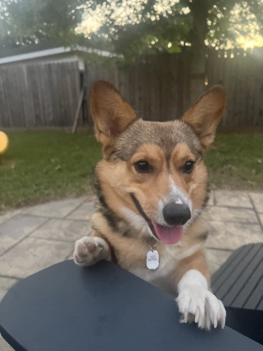 Merry ♥️ 🐉 (they/them) tweet media