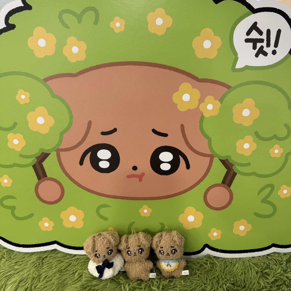 b_8195_'s tweet photo. 생일 추카해요오

 #생일강아지소정이발견 https://t.co/rpukTVvyyq