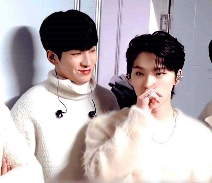 tfcheol's tweet photo. wonwoo being whipped for dino ;
an endearing thread — https://t.co/sDDWlMBFZt