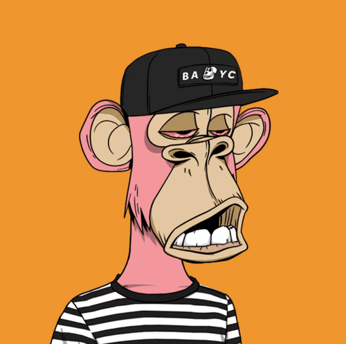 FirstMeme. tweet media