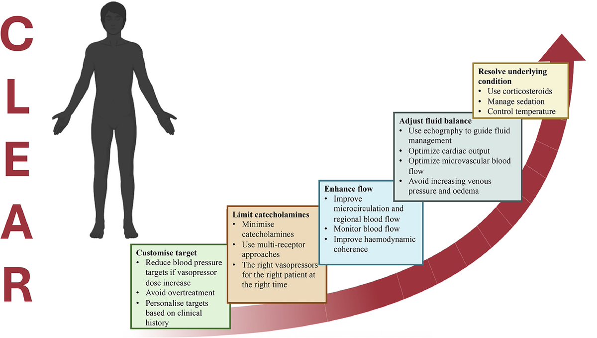 DrFDamico's tweet photo. Our latest article explains the CLEAR approach to protective hemodynamics

Discover how to customize targets, limit catecholamines, enhance flow, adjust fluid balance, and resolve underlying conditions. 

https://t.co/STHD8hGjVE https://t.co/MBAM8kwiwk