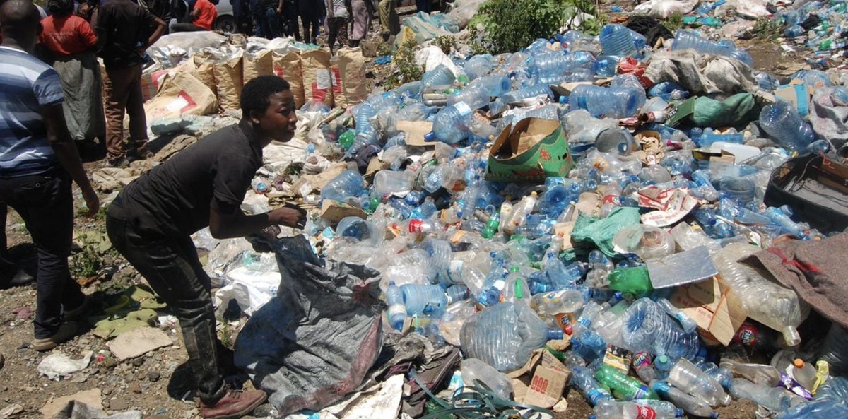ntvkenya's tweet photo. ICIPE discovers insect that degrades plastic waste https://t.co/NHeOj4oSbJ https://t.co/bLRahjfQar