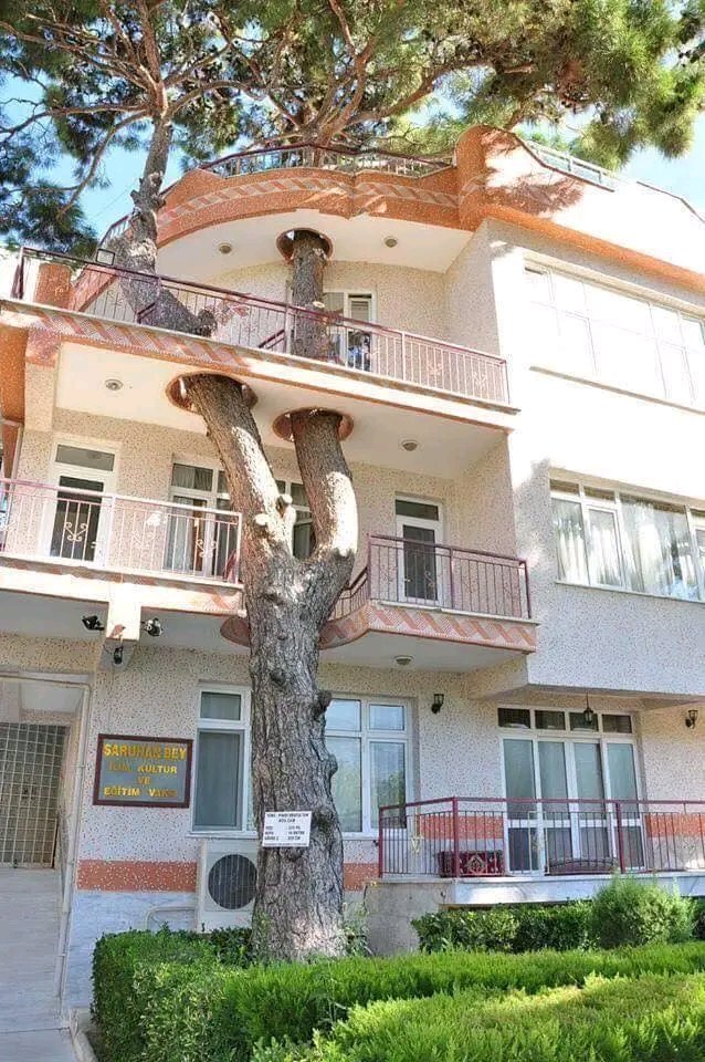 📍✈️ 𝔈𝔩 𝔱𝔯𝔞𝔫𝔰𝔭𝔬𝔯𝔱𝔞𝔡𝔬𝔯 ✈️♻️ (@pendasrobert) on Twitter photo "Así como un árbol puede atravesar una casa con sus poderosas raíces así deseo yo atravesar todo tu ser con mis caricias y mis besos que tu cuerpo palpite y desee más hasta explotar en un extasis de placer y pasión hasta llegar al clímax total"
<a href="/PendasRobert/">📍✈️ 𝔈𝔩 𝔱𝔯𝔞𝔫𝔰𝔭𝔬𝔯𝔱𝔞𝔡𝔬𝔯 ✈️♻️</a> "Así como un árbol puede atravesar una casa con sus poderosas raíces así deseo yo atravesar todo tu ser con mis caricias y mis besos que tu cuerpo palpite y desee más hasta explotar en un extasis de placer y pasión hasta llegar al clímax total"
<a href="/PendasRobert/">📍✈️ 𝔈𝔩 𝔱𝔯𝔞𝔫𝔰𝔭𝔬𝔯𝔱𝔞𝔡𝔬𝔯 ✈️♻️</a>