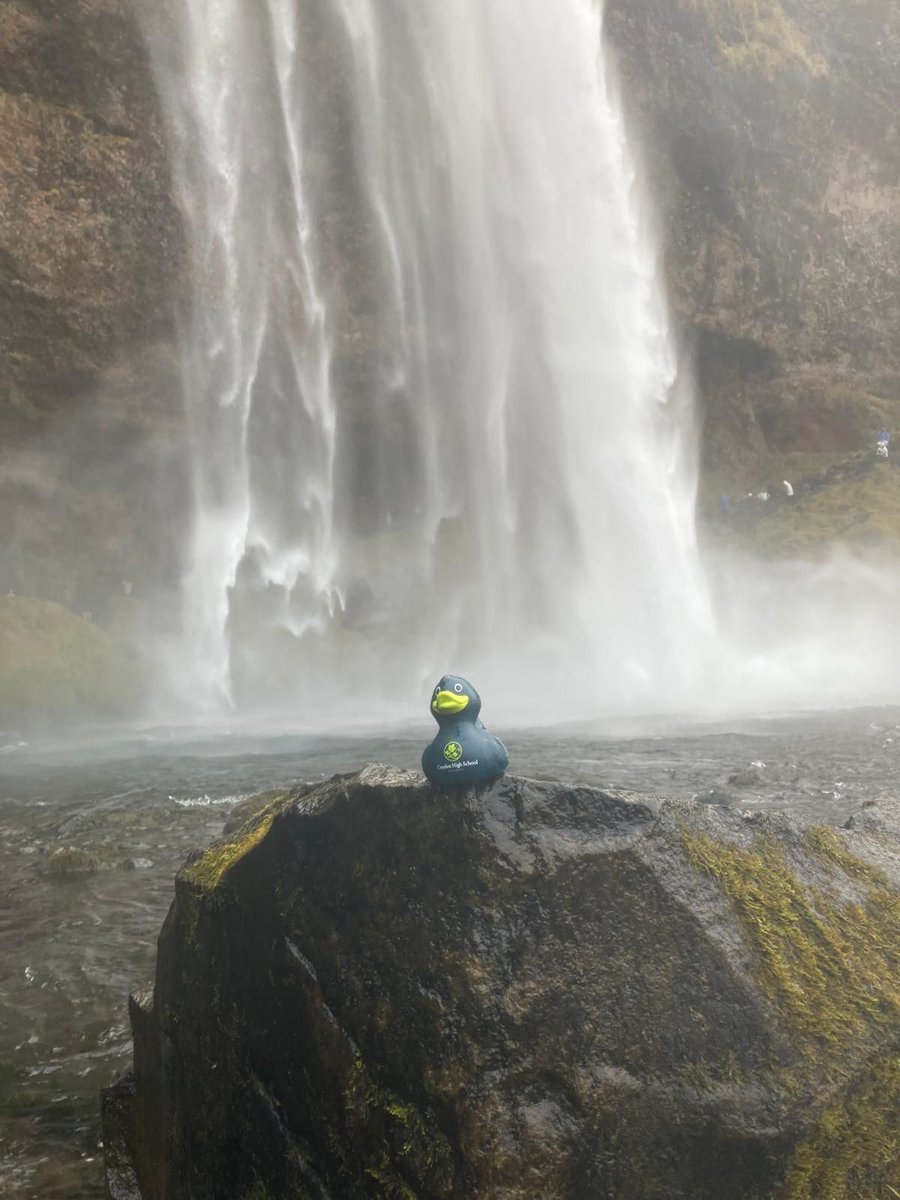 Croydon High School tweet media