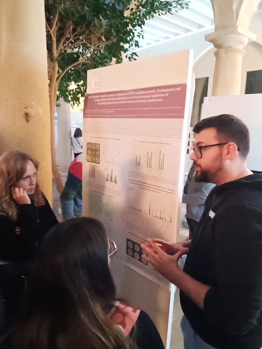 Biostimulators IHSM (@biostimulators) on Twitter photo Our PhD students Alberto Férez <a href="/ferezgomez/">Ferez</a> and Jesús Leal <a href="/jesusleal94/">yisusl</a> presenting their posters at UNIA <a href="/UNIAuniversidad/">Universidad Intern. de Andalucía</a> workshop " Plants under environmental stress: overcoming current climate challenges" in Baeza (Jaén) <a href="/IHSM_CSIC_UMA/">IHSM La Mayora</a> Our PhD students Alberto Férez <a href="/ferezgomez/">Ferez</a> and Jesús Leal <a href="/jesusleal94/">yisusl</a> presenting their posters at UNIA <a href="/UNIAuniversidad/">Universidad Intern. de Andalucía</a> workshop " Plants under environmental stress: overcoming current climate challenges" in Baeza (Jaén) <a href="/IHSM_CSIC_UMA/">IHSM La Mayora</a>