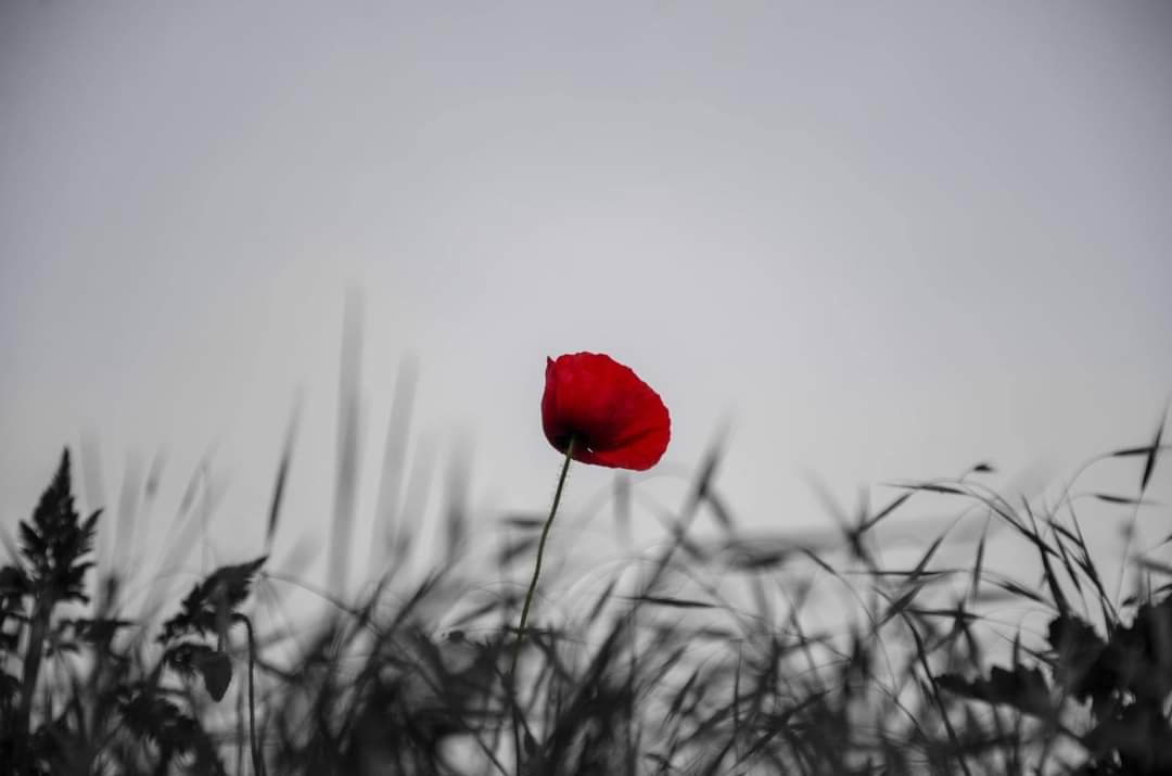 StJohnsCM11's tweet photo. Join us for a Service of Holy Communion and Act of Remembrance on Remembrance Sunday, 10th November, at 10am with Revd Ron Wiffen. https://t.co/uzek0kMzFI