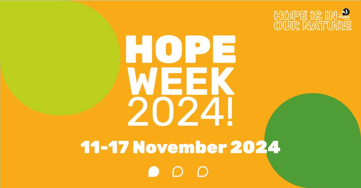 WildlifeTrusts's tweet photo. We’re excited to celebrate Hope Week from 11 – 17 November! 💚 
Each day, we’ll spotlight actions you can take &amp; inspiring individuals working to brighten our world. 
We're bringing people who are passtionate about nature together.
Live event info + more👉🏽 https://t.co/Ryr0QXsiP2 https://t.co/XiC6jCxwP5