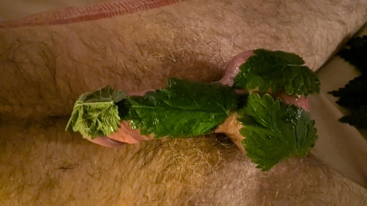 BdsmQueer's tweet photo. Berlin souvenirs. Last week of October is nettle season :) https://t.co/Gy00QChDY3
