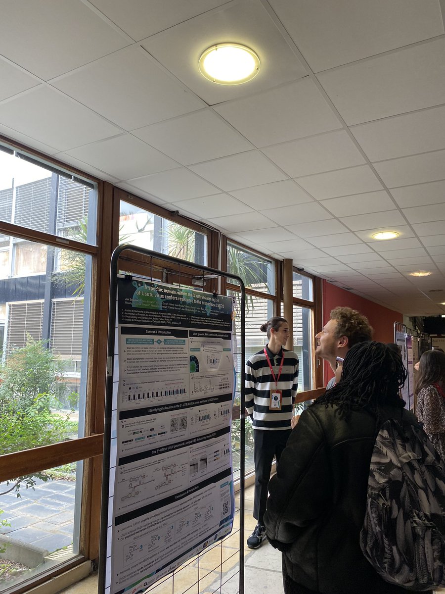 Montpellier Infection & Immunity Meeting MIIM 2024 tweet media