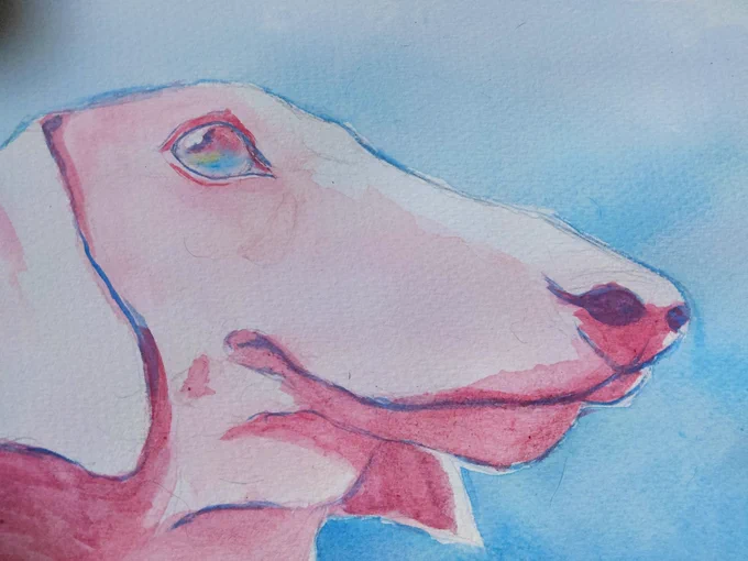 #drawing #watercolors 