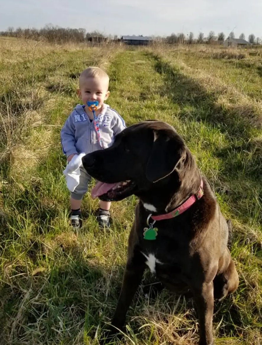 One Bearded Golfer tweet media