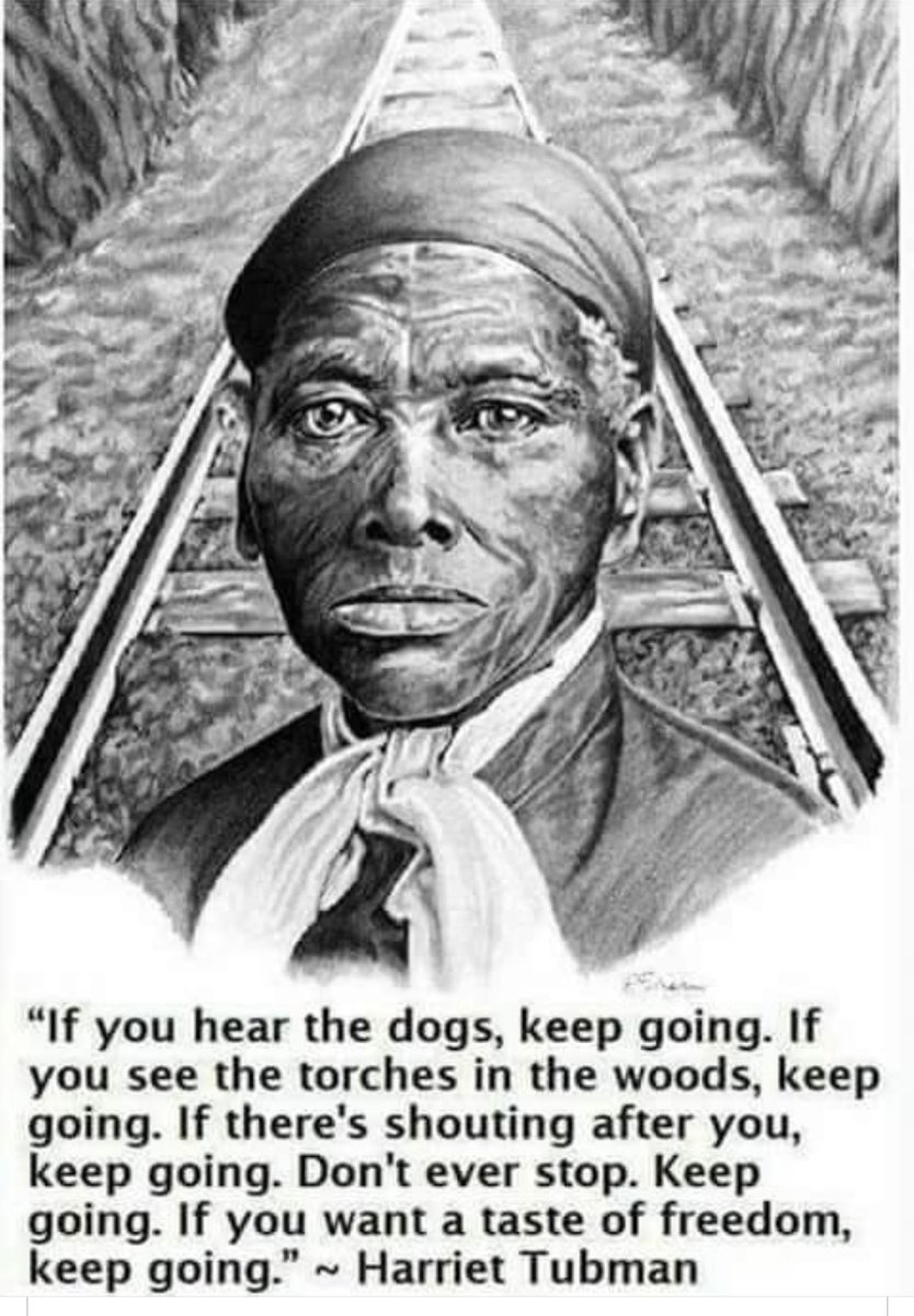 NetterCatherine's tweet image. In the awakening of our election outcomes in this nation, I am reminded of the wise words of sister Harriet Tubman…